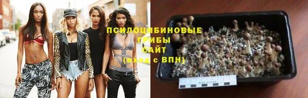 дживик Козельск