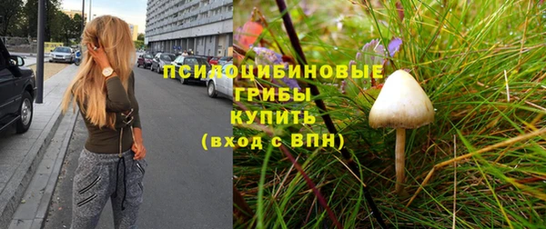 дмт Кодинск