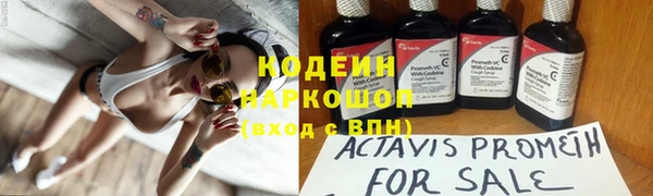 МДПВ Козловка