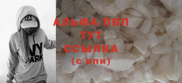дживик Козельск