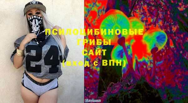дживик Козельск