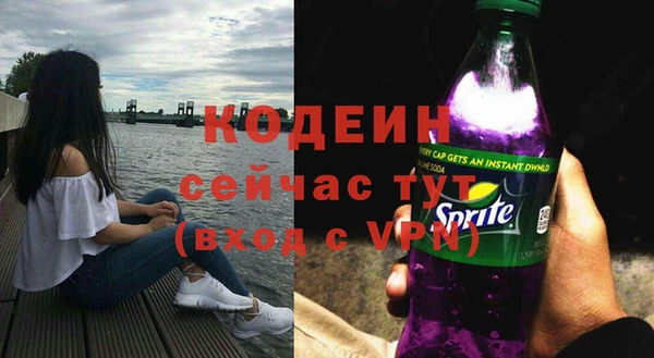 дживик Козельск