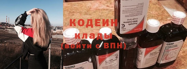 дживик Козельск