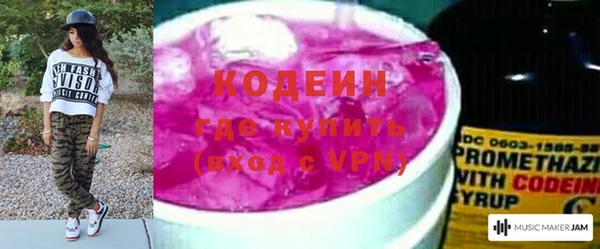 дмт Кодинск