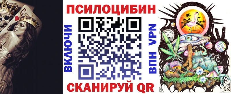 Купить где  Горячий Ключ  Псилоцибиновые грибы прущие грибы 